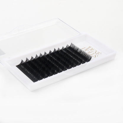 Doll-in-one trays ( J CURL )
